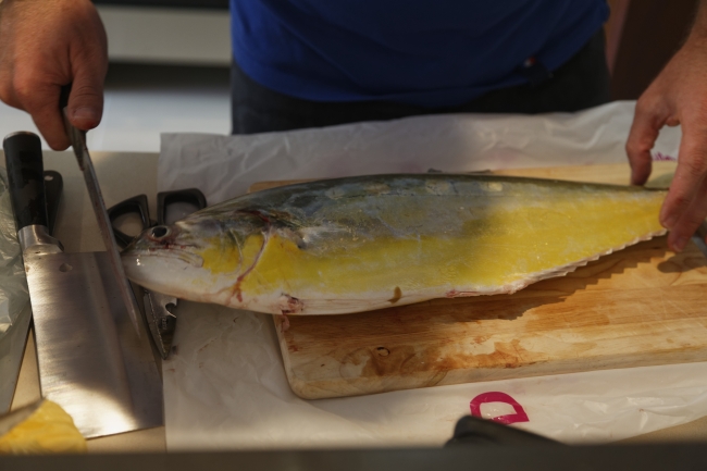 Pêche et ski nautique-025